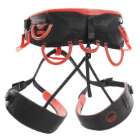 Preview: SYNCRO HARNESS